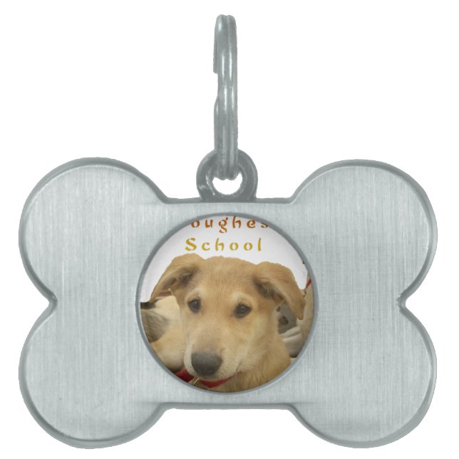 "Livet är den tuffaste Hund i skolan" ID-bricka Husdjur (Framsidan)