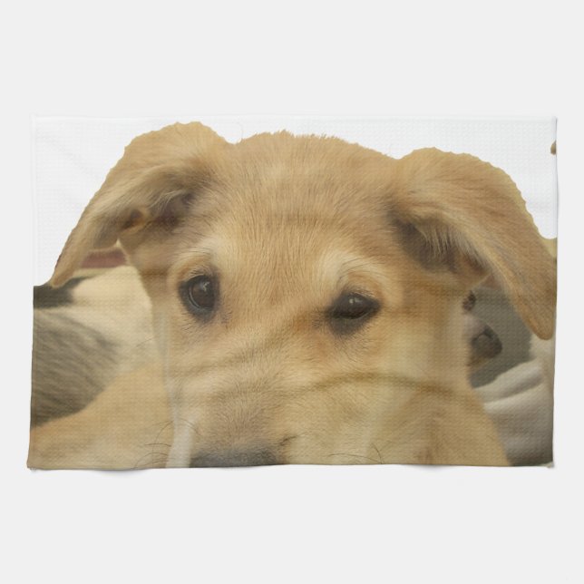 "Livet är den tuffaste Hund i skolan" Kökshandduk (Horisontell)