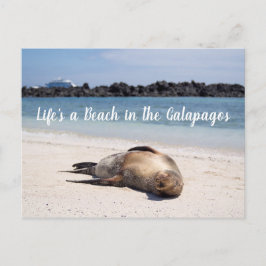 Livet är en bov i vykortet Galapagos Vykort