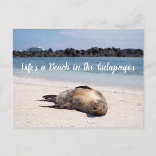 Livet är en bov i vykortet Galapagos Vykort