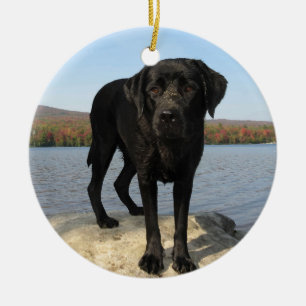 Livet är en persiko - Labrador Retriever - Svart l Julgransprydnad Keramik