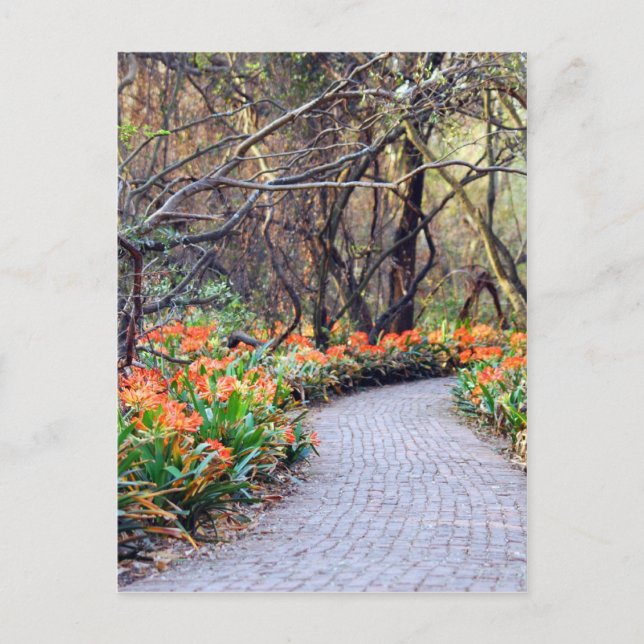 Livet är en resa vykort (Framsida)