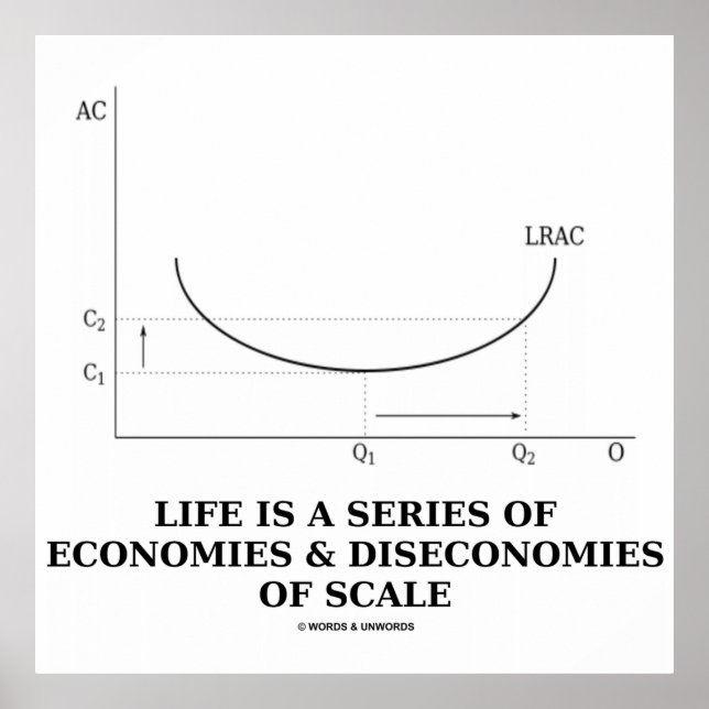 Livet är en serie ekonomier och ekonomier  poster (Framsidan)