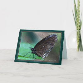 *Livet är evigt: Fin metafor för döden inuti Kort