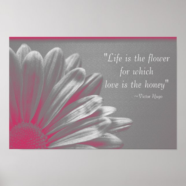 Livet är Flower - Rosa Daisy Poster (Framsidan)