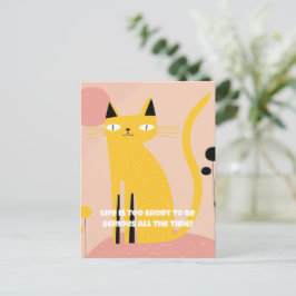 "Livet är för kort att vara seriöst" Kattfödelseda