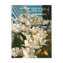 Livet är fullt av rikedom, Day Lily Postcards