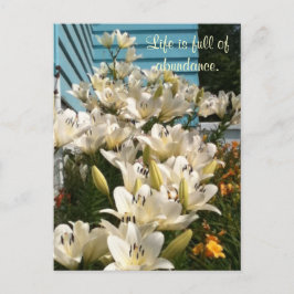 Livet är fullt av rikedom, Day Lily Postcards Vykort