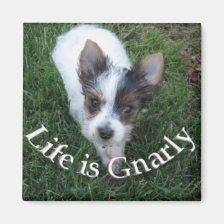 Livet är Gnarly Magnet