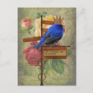 Livet är ingenting som broschyren vycard vykort