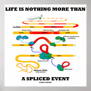 Livet är inget annat än en delad händelse (RNA) Poster