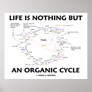 Livet är inget annat än en ekologisk kretskcykel poster