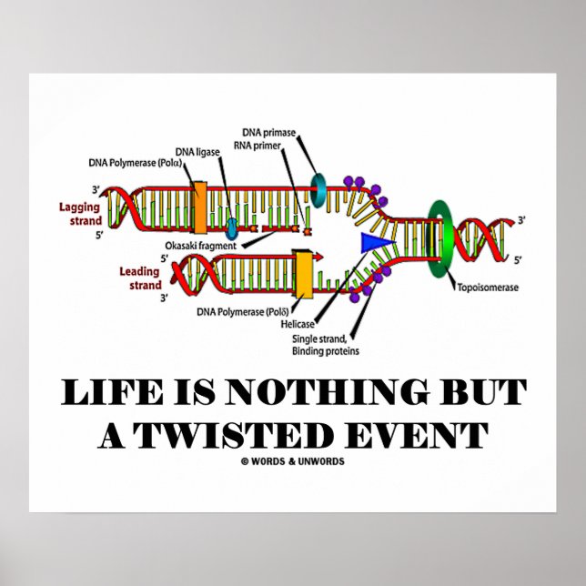 Livet är inget annat än en tudelad händelse (DNA H Poster (Framsidan)
