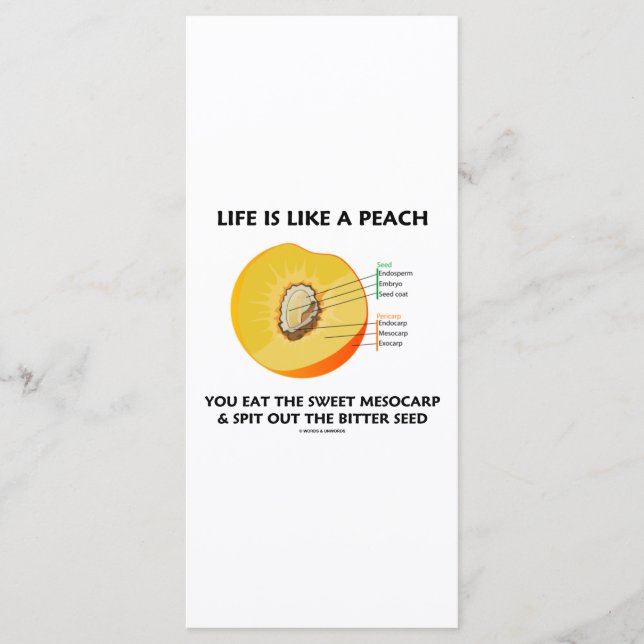 Livet är som en persikofött sötad Mesocarp-spets (Framsida)