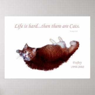 Livet är svårt..Sedan finns det katter. Poster