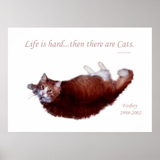 Livet är svårt..Sedan finns det katter. Poster (Framsidan)