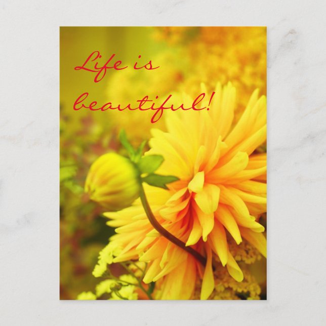 Livet är vackert | Golden Gult Dahlias Vykort (Framsida)