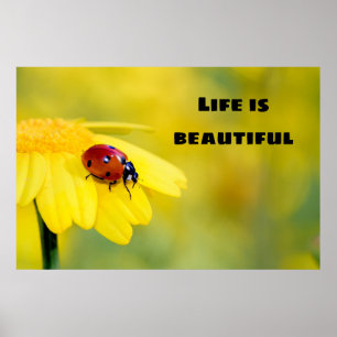 Livet är vackert - Ladybug Poster