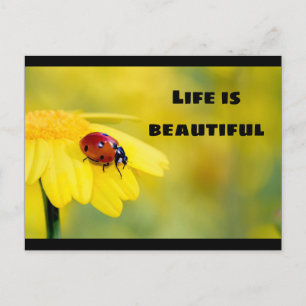 Livet är vackert - Ladybug Vykort