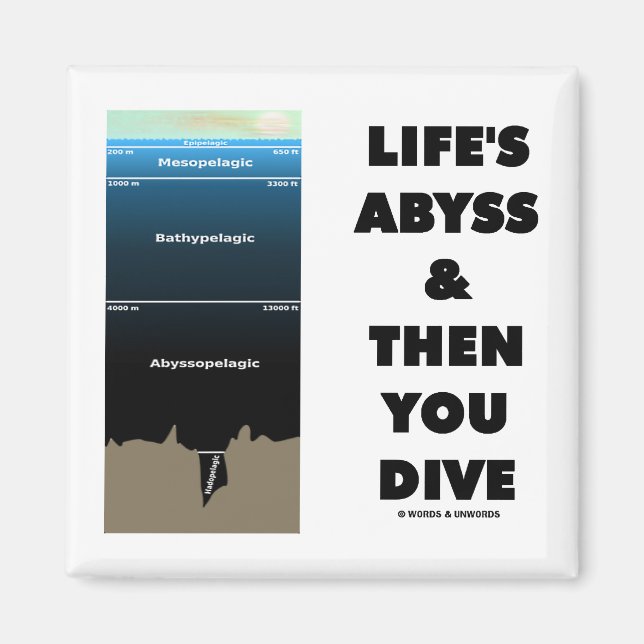 Livet flyr och sen dör du (Pelagisk Zon) Magnet (Framsidan)