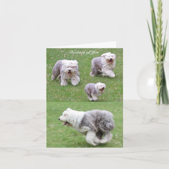 Livet händer! kort (Framsida)