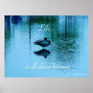 Livet...handlar allt om poster balans
