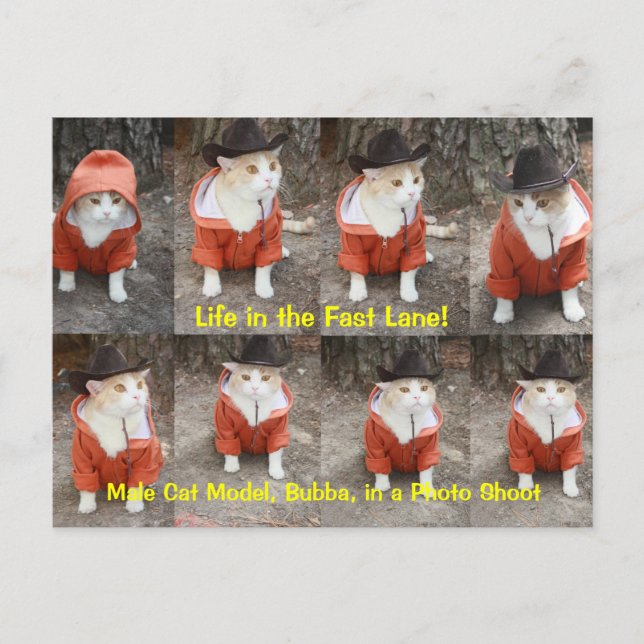 Livet i den snabba filen! vykort (Framsida)