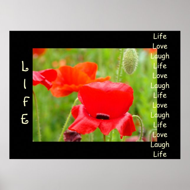 LIVET Kärlek Latter konsttryck Röda Vallmo Blommor Poster (Framsidan)