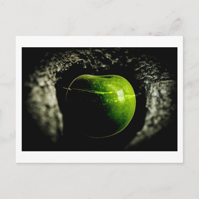 livet på äpplet vykort (Framsida)