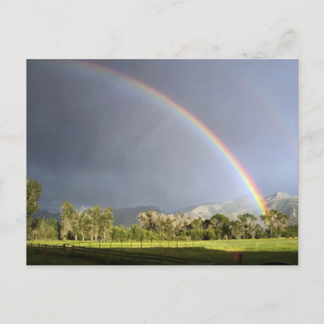 Livet på Blackman Ranch Vykort (Framsida)