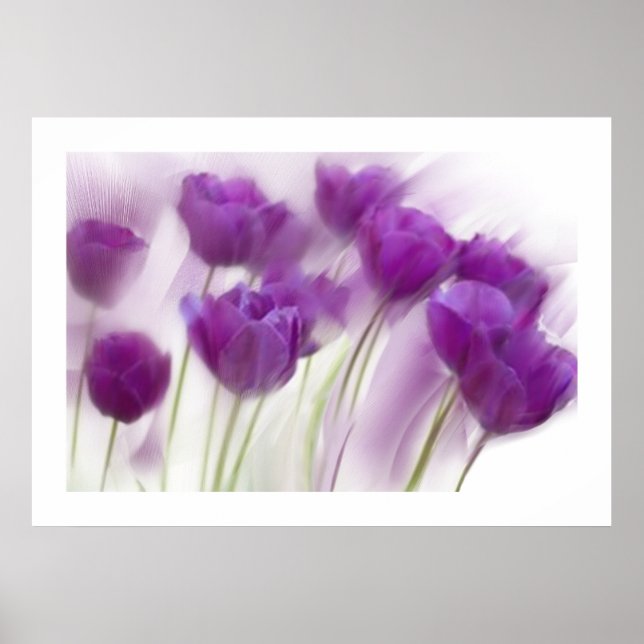 Livet på Canvas Poster (Framsidan)