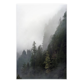 Livet på Kant. Fototryck