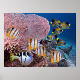 Livet på korallrev - Rosa Fläkt-koralen och fisk Poster