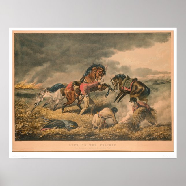 Livet på Prairie: Trappers försvar (0879A) Poster (Framsidan)