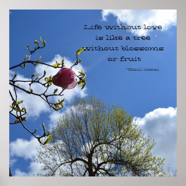 Livet utan kärlek är som poster (Framsidan)