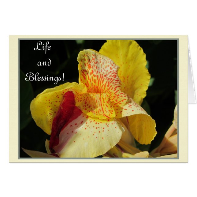 Livet välsignelser! hälsningskort (Framsidan Horizontal)