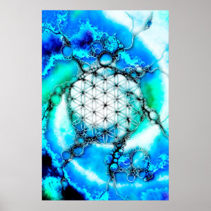 Livets blomma - färgstarka vägar 2 poster