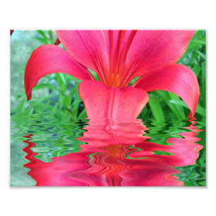 Livets blomma fototryck