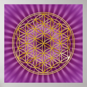 Livets blomma guld, magenta shine poster