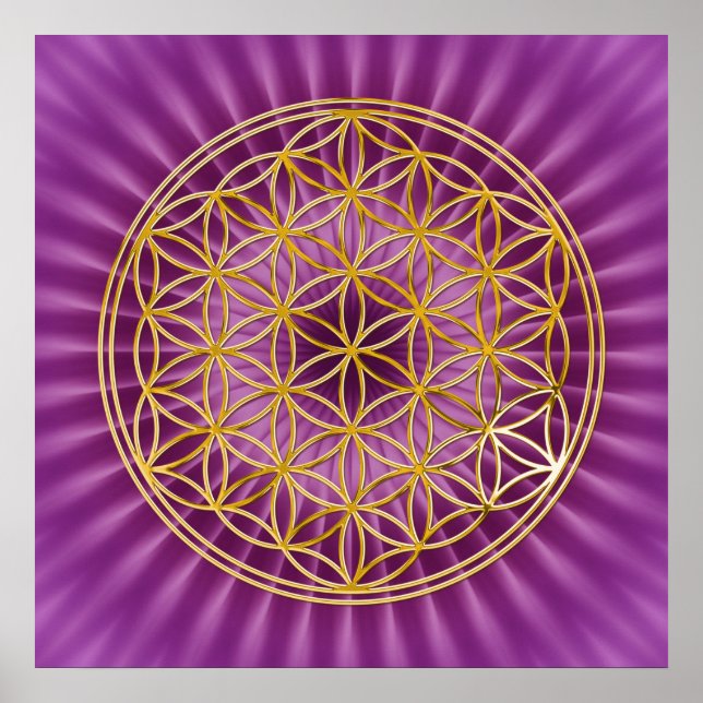 Livets blomma | guld, magenta shine poster (Framsidan)