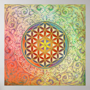 Livets blomma - Ornament I Poster