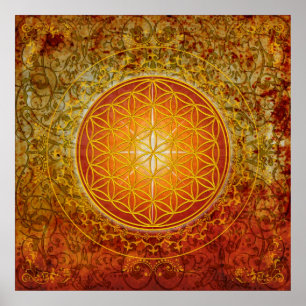 Livets blomma - Ornament III Poster