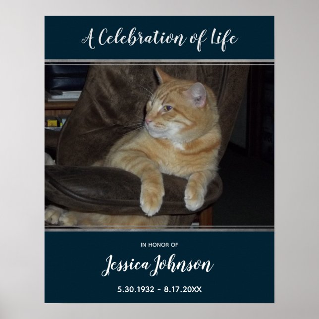 Livets firande entré väg ett foto poster (Framsidan)