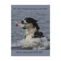 Livets skatter, vykort