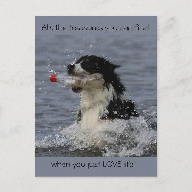 Livets skatter, vykort (Framsida)