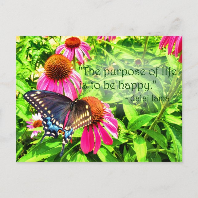Livets syfte Glad svart svärmare fjäril Vykort (Framsida)
