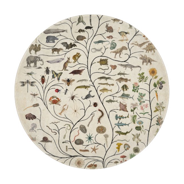 Livets träd (Framsidan)