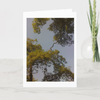 Livets träd bor Long & blomstrar Kort