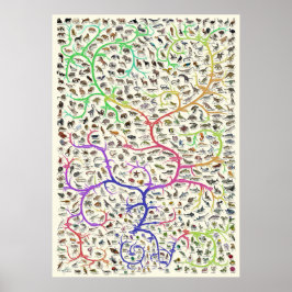 Livets träd Darwiniska evolutionsteorien Poster