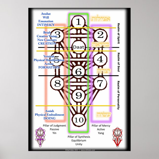 Livets träd-diagram | Alla storlekar Poster (Framsidan)